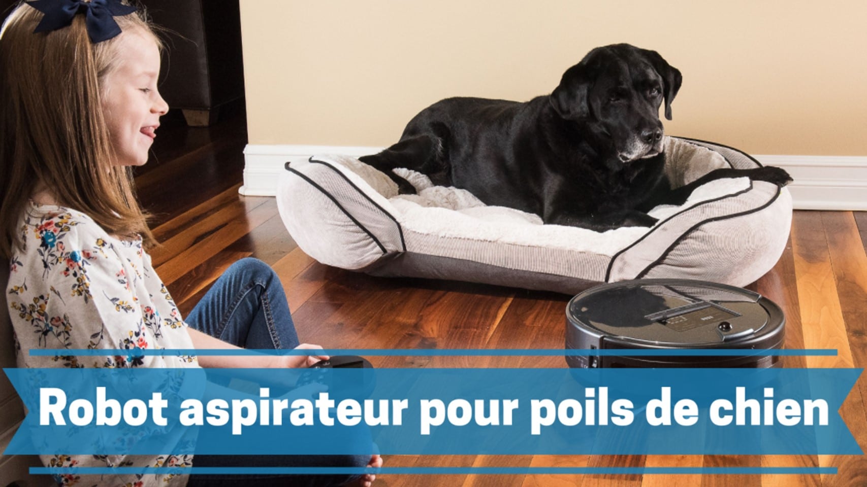 Porte-Clés Souvenir Pour Poils D'Animal - 4 Pièces En Forme De Patte De Chat En Cuir, Compartiment Transparent