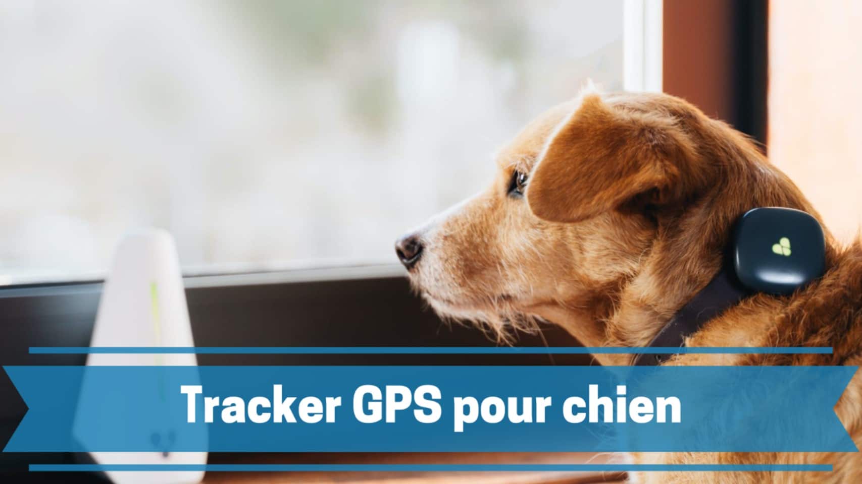Meilleurs traceurs ou trackers GPS pour chien et autres animaux de compagnie en 2021