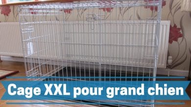 Photo de Les meilleurs cage XXL pour chien de grande taille 2021.